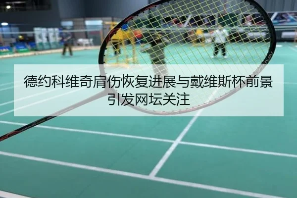 德约科维奇肩伤恢复进展与戴维斯杯前景引发网坛关注